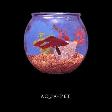 Aqua Pet
